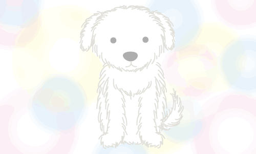 てがみ