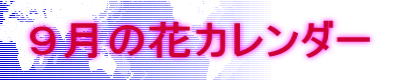 ９月の花カレンダー