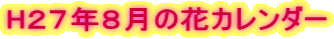 HQVNW̉ԃJ_[