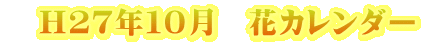 H27年10月 花カレンダー