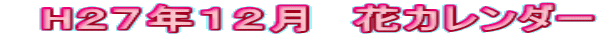 H27年12月 花カレンダー