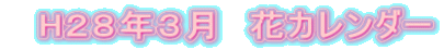 H28年3月 花カレンダー