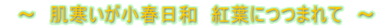 ~ 肌寒いが小春日和 紅葉につつまれて ~