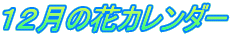 １２月の花カレンダー