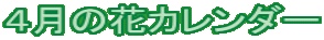 4月の花カレンダー