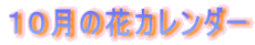 10月の花カレンダー