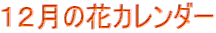 12月の花カレンダー