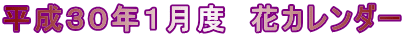 平成30年1月度 花カレンダー