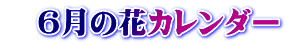 6月の花カレンダー