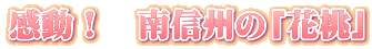 感動! 南信州の「花桃」