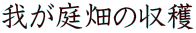 我が庭畑の収穫