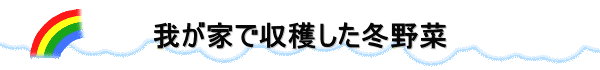 䂪ƂŎn~