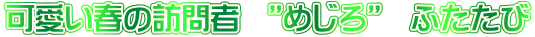 t̖Kҁ@h߂h@ӂ