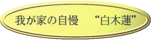 䂪Ƃ̎@gؘ@h