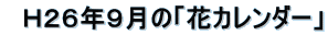 @gQUNX́uԃJ_[v