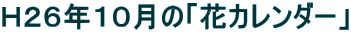 gQUNPÓuԃJ_[v