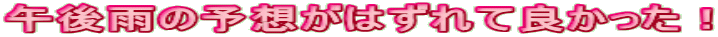 午後雨の予想がはずれて良かった!