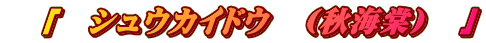 　「　シュウカイドウ　（秋海棠）　」
