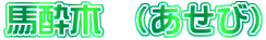 馬酔木 (あせび)
