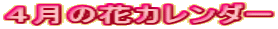 S̉ԃJ_[