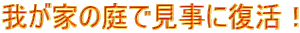 䂪Ƃ̒ŌɕI
