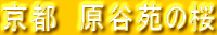s@J̍