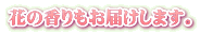 Ԃ̍͂܂B