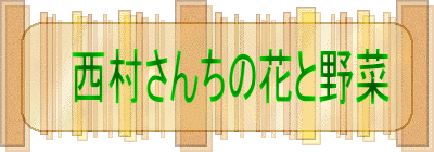 西村さんちの花と野菜