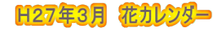 H27年3月 花カレンダー
