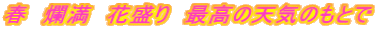 春 爛満 花盛り 最高の天気のもとで