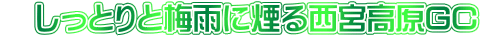 @ƂƔ~Jɉ鐼{GC