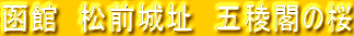 ف@O隬@ܗŊt̍