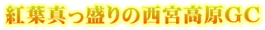 gt^̐{GC