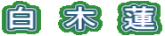白 木 蓮