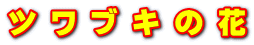 ツ ワ ブ キ の 花