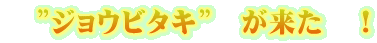 ”ジョウビタキ” が来た !