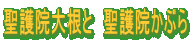 聖護院大根と 聖護院かぶら