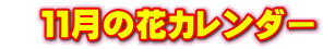 11月の花カレンダー