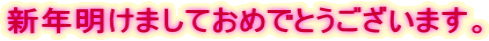 新年明けましておめでとうございます。