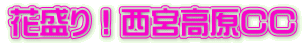 ԐI{bb