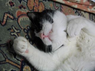 �t���[��