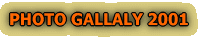 PHOTO GALLALY 2001 