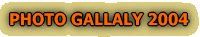 PHOTO GALLALY 2004