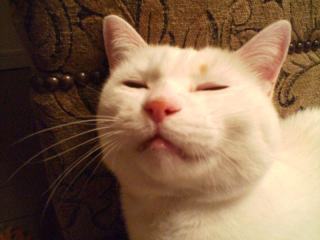 �t���[��